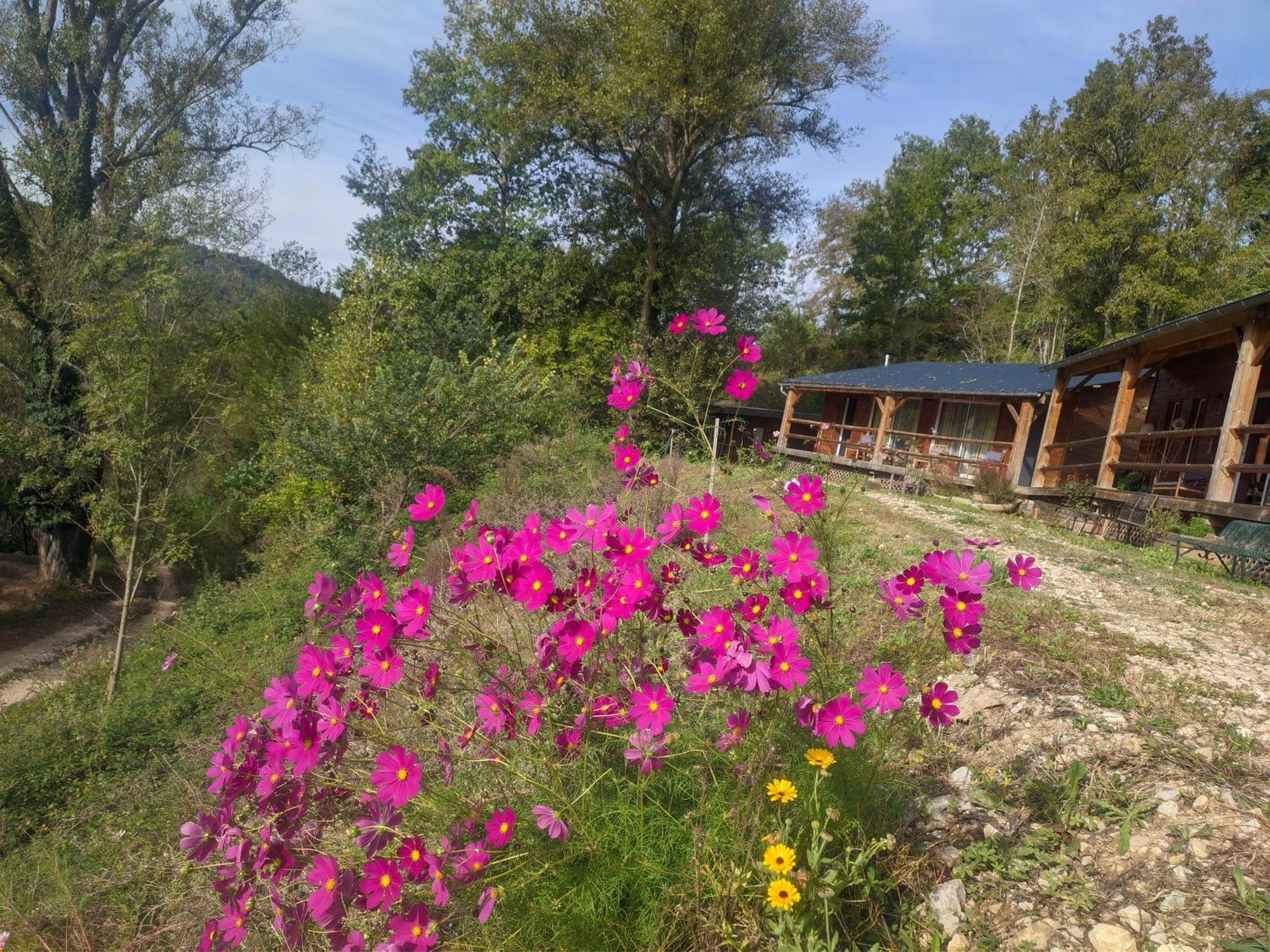 Source Nature Mas-d'Azil Quarto foto